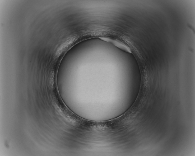 X0000099420586200805231631