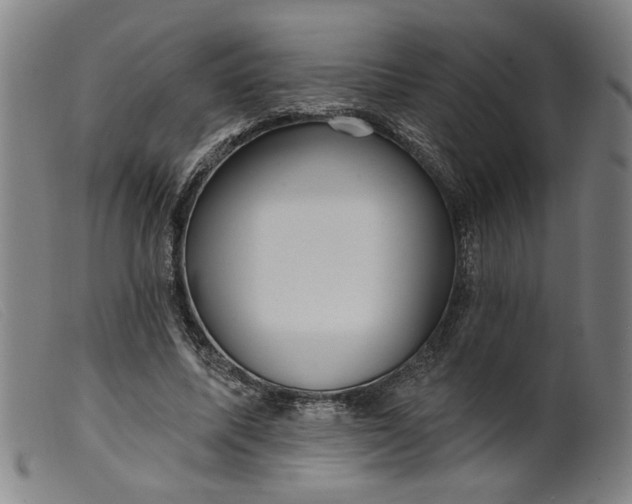 X0000099420587200805231631