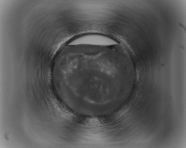 X0000099420588200805231631