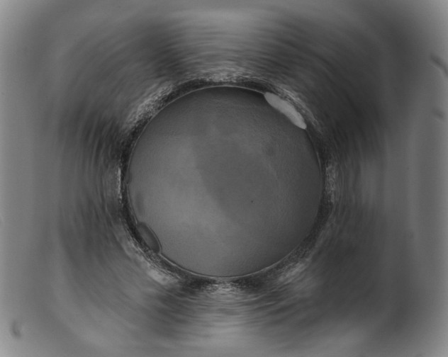 X0000099420589200805231631