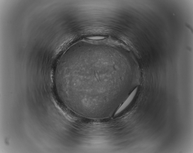 X0000099420590200805231631