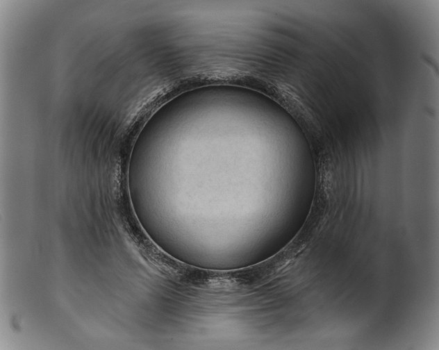 X0000099420591200805231631