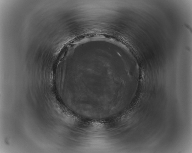 X0000099420592200805231631
