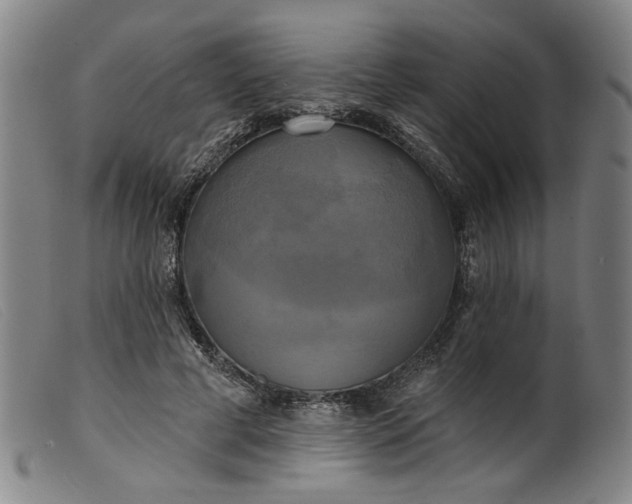 X0000099420593200805231631