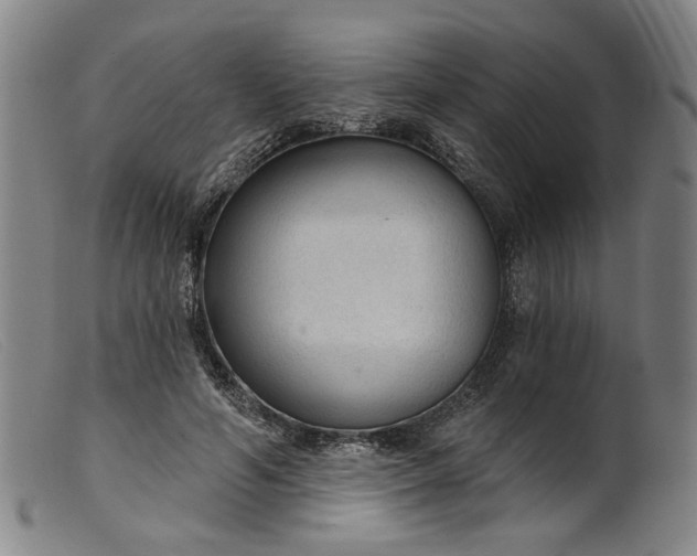 X0000099420594200805231631