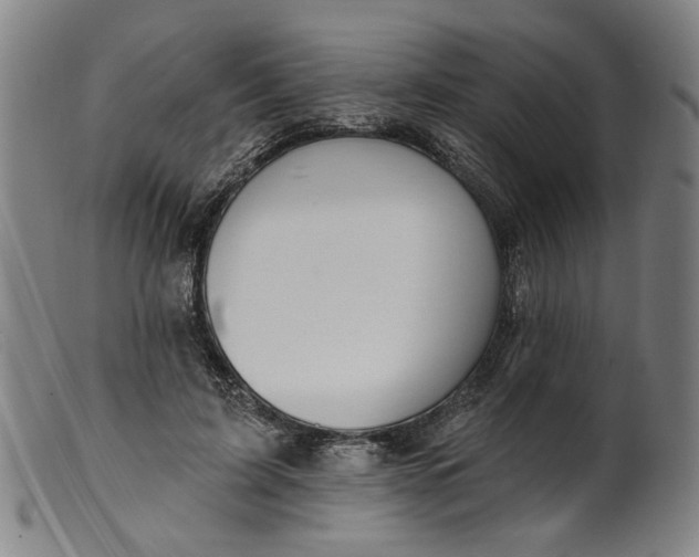 X0000099420595200805231631