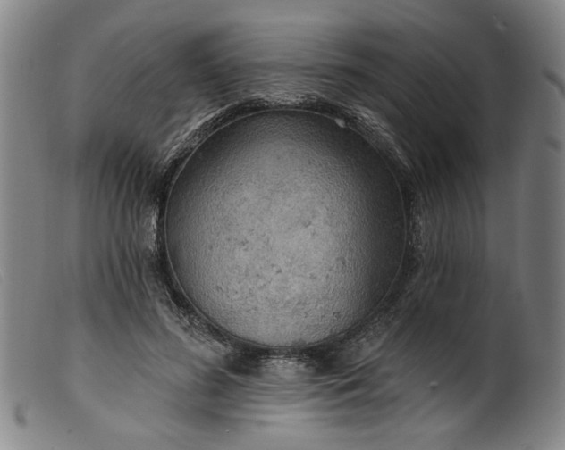 X0000099420596200805231631