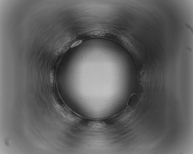 X0000099420597200805231631