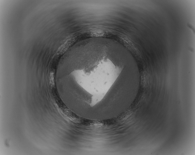 X0000099420598200805231631
