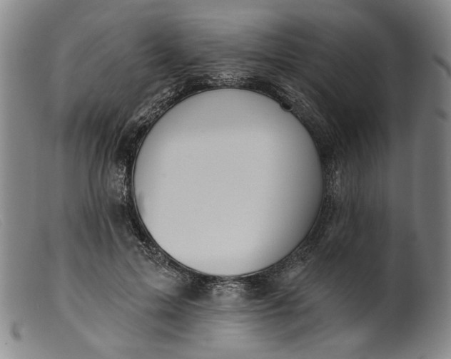 X0000099420599200805231630