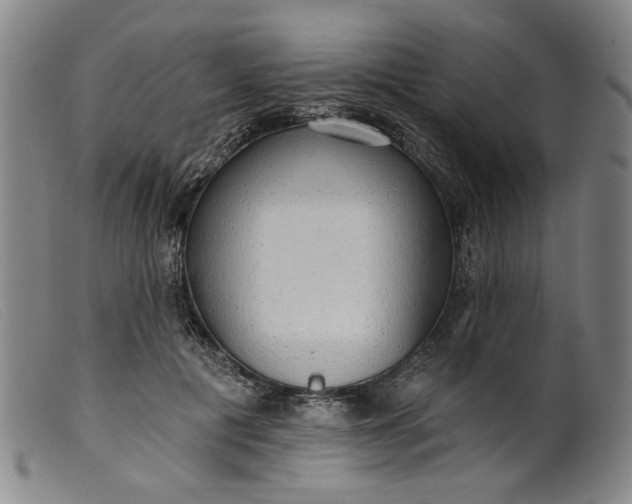 X0000099420601200805231630