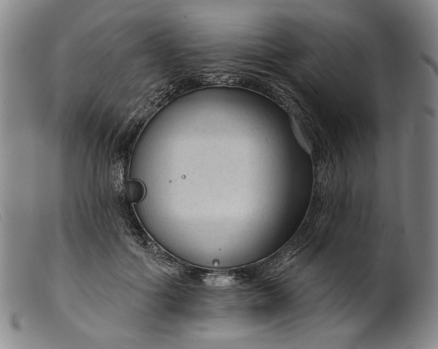 X0000099420602200805231630