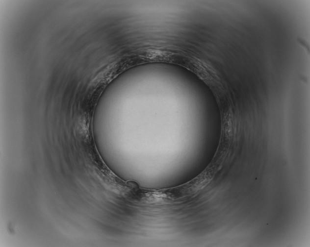 X0000099420607200805231630