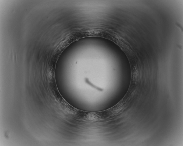 X0000099420608200805231630