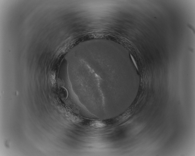 X0000099420610200805231630
