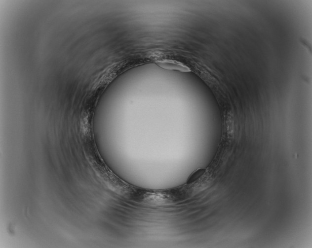 X0000099420611200805231630