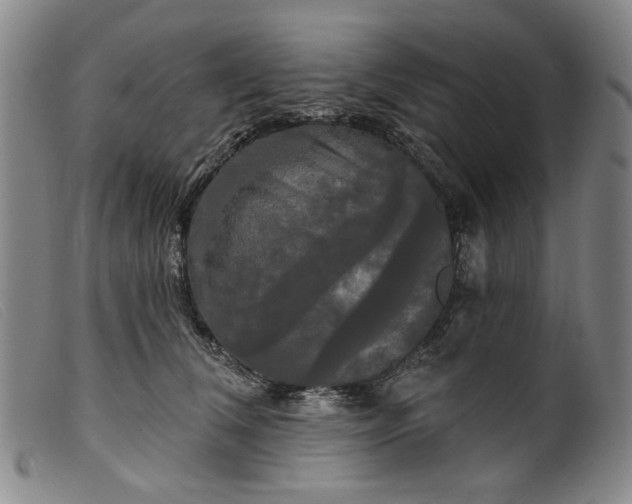 X0000099420612200805231630