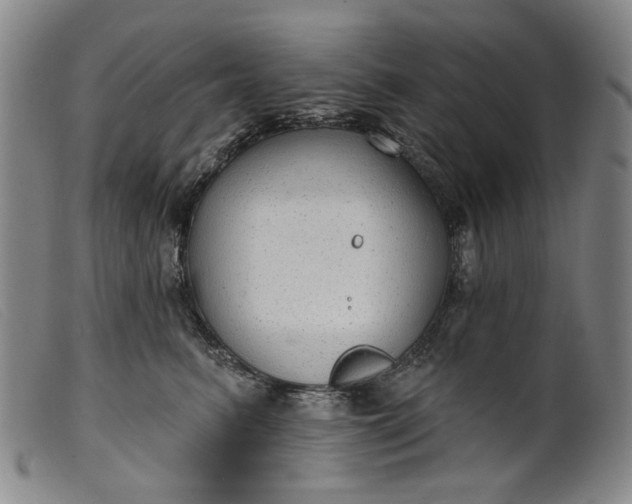 X0000099420615200805231630