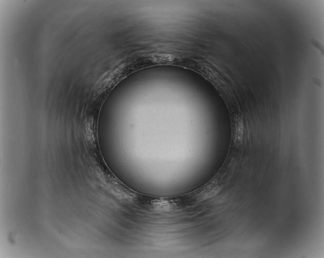 X0000099420616200805231630