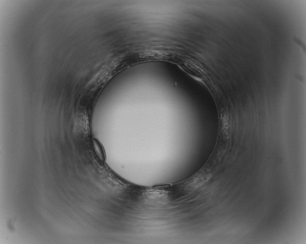 X0000099420617200805231630