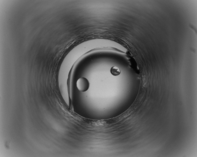 X0000099420618200805231630