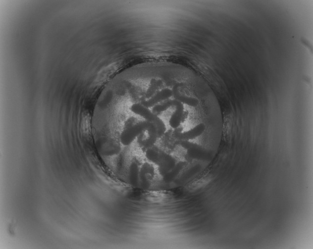 X0000099420623200805231630