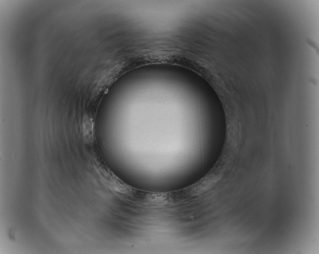 X0000099420624200805231630
