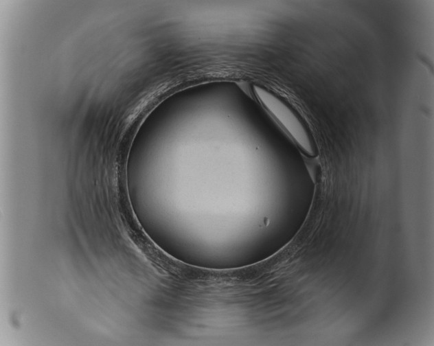 X0000099420626200805231629