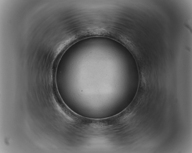 X0000099420630200805231630