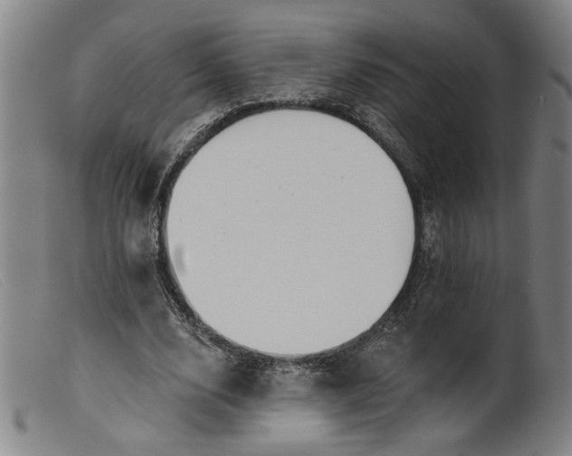 X0000099420632200805231630