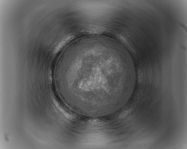 X0000099420634200805231630