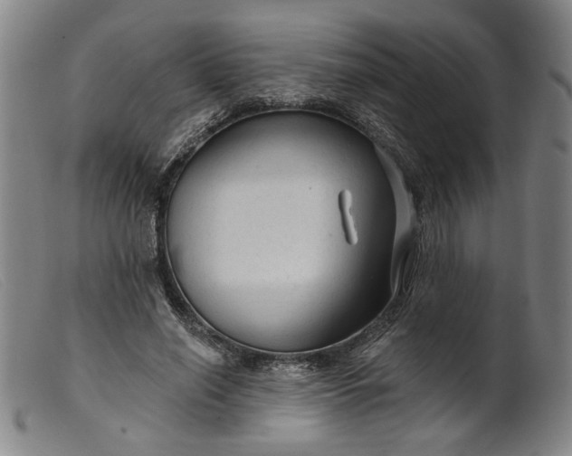 X0000099420638200805231630