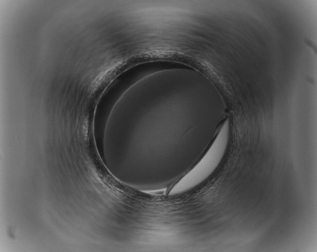 X0000099420640200805231630