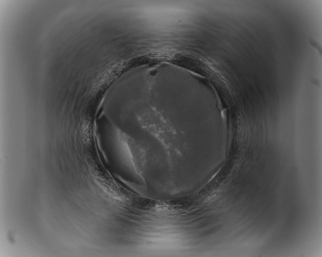 X0000099420641200805231630