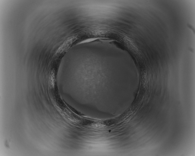 X0000099420644200805231630