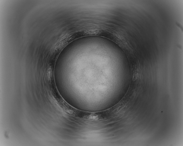 X0000099420647200805231630