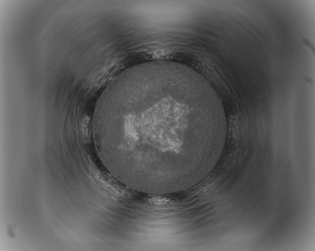 X0000099420650200805231630
