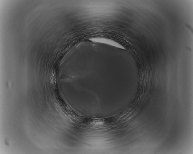 X0000099420651200805231630