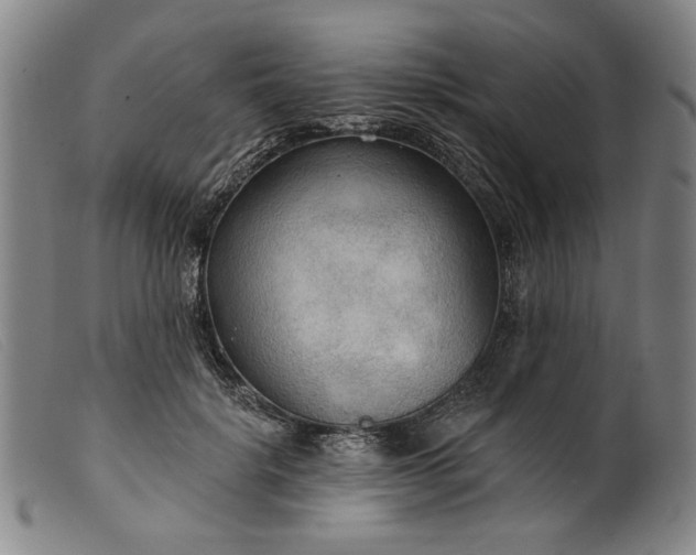 X0000099420652200805231630