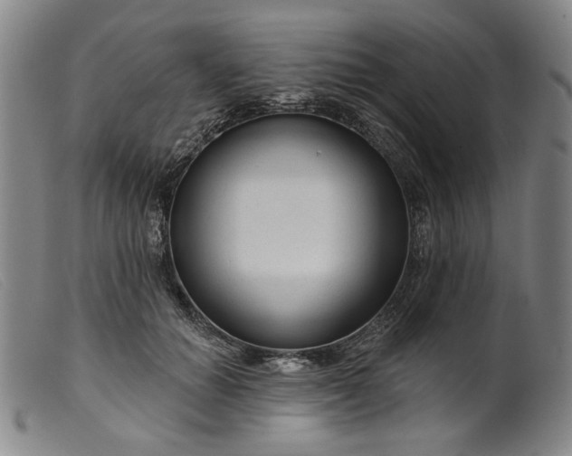 X0000099420654200805231630