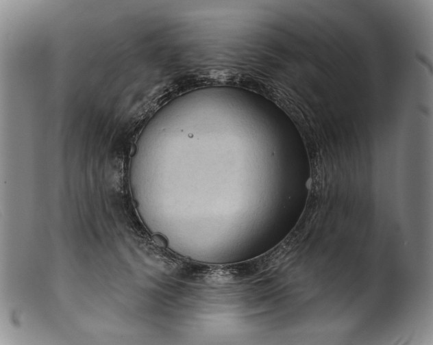 X0000099420656200805231630