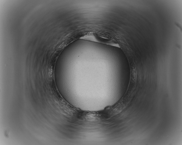 X0000099420657200805231630