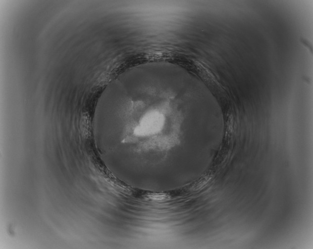 X0000099420659200805231630