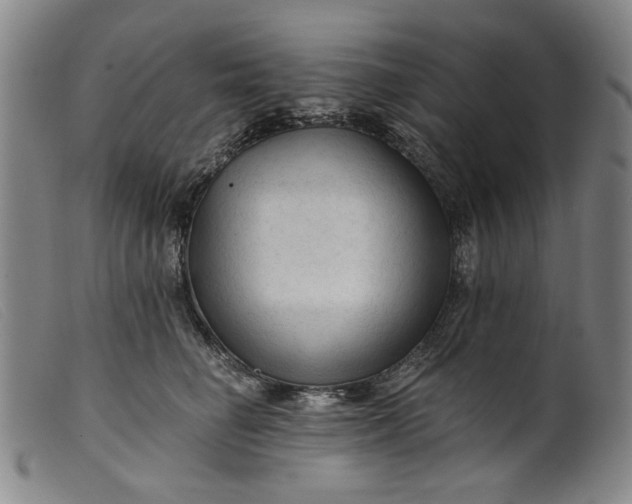 X0000099420662200805231630