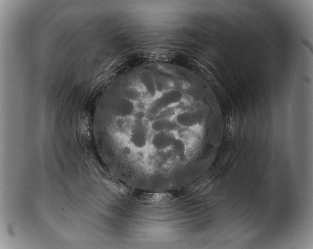 X0000099420663200805231630