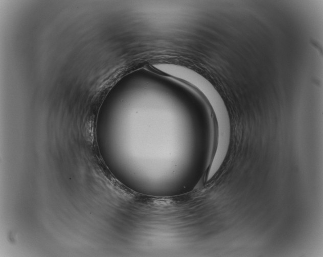 X0000099420666200805231630