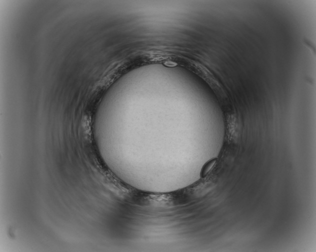X0000099420667200805231630