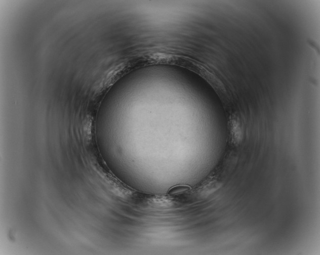 X0000099420668200805231630