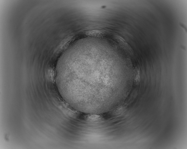 X0000099420669200805231630