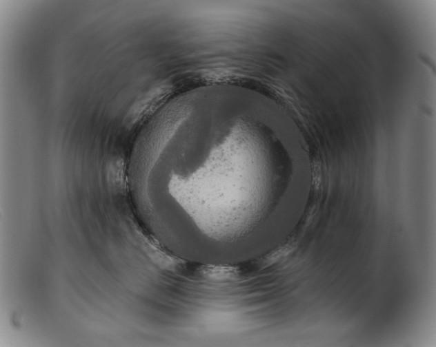 X0000099420670200805231630